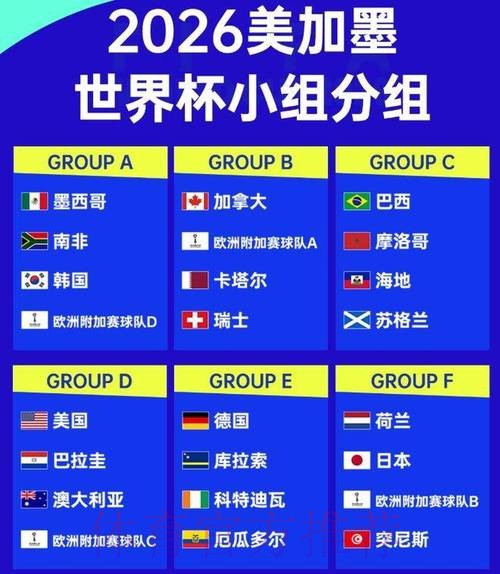 2026世界杯加拿大数据统计